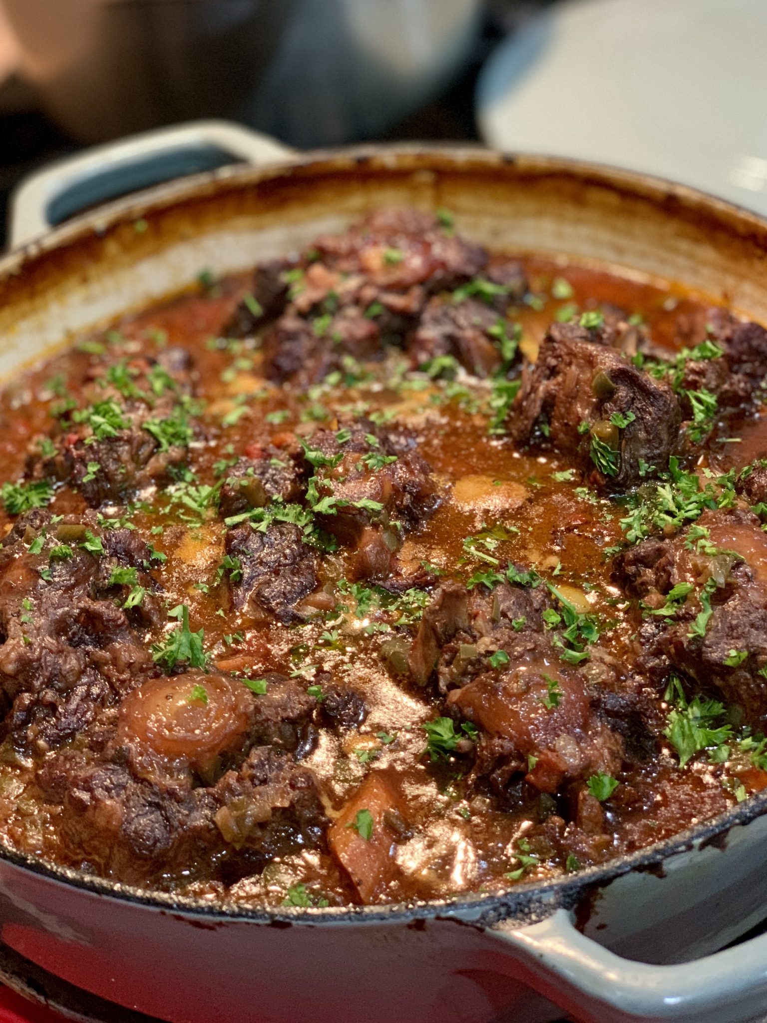 Rabo Encendido (Cuban Oxtail Stew) The Tiny Fairy